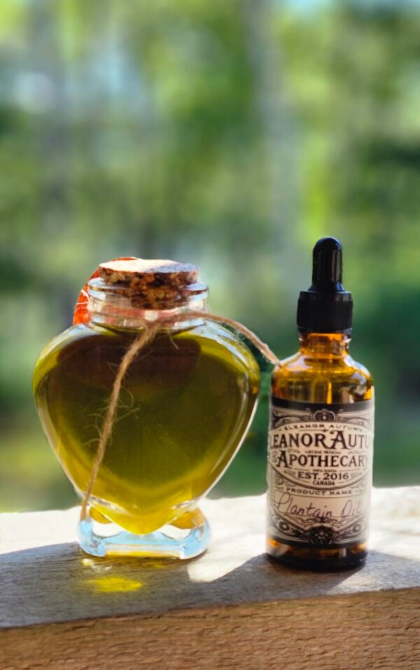 Infused Plantain Oil